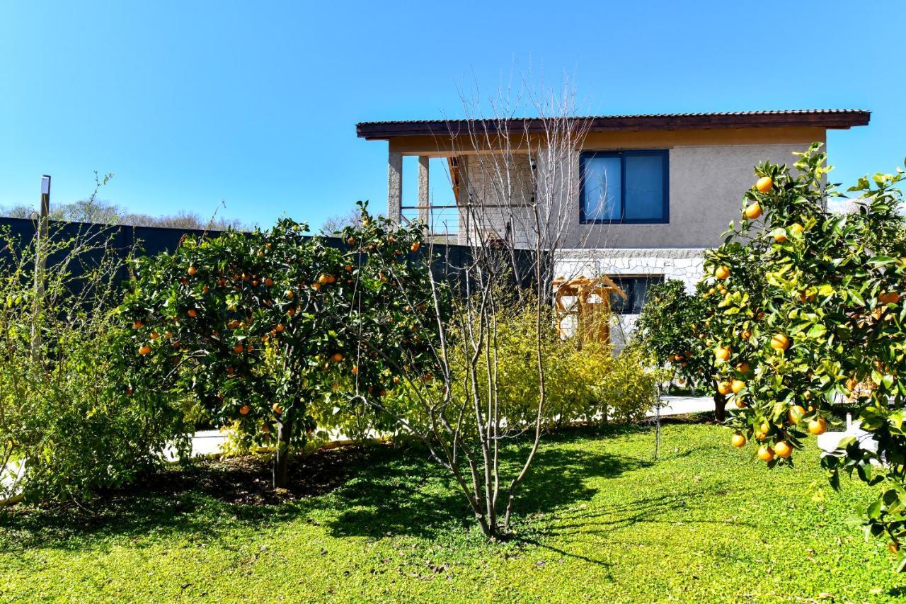 Volans Suites Villas Fethiye Ngoại thất bức ảnh